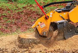 Best Lawn Renovation and Restoration  in Temecula, CA